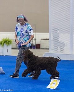 R26 - CH CUBOGLACH ROSY MAPLE RAE CAA BCAT SWME RATS DJ DN CGC TKN FTN