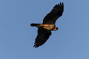 20240621-6424.jpg