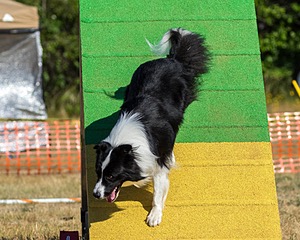 20160619-CCKC-0213.jpg