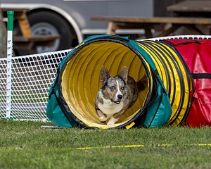 20220917-PVKC-1124.jpg