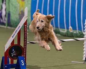 Ava Finocchiaro