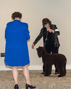 20190514-TEN-0087.jpg