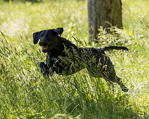 20220605-FINW-1740.jpg