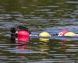 "Rory" & Patti