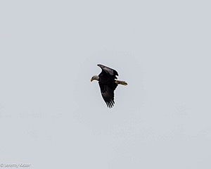 20231007-C-0015.jpg