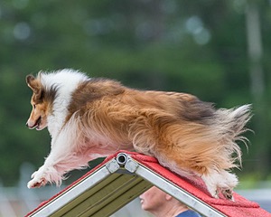 20190616-CCKC-0045.jpg