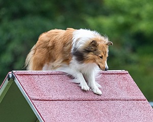 20200819-1984.jpg