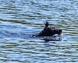 Winnie Lattrell