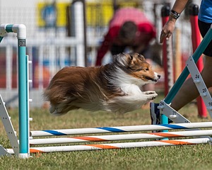 20200819-1034.jpg