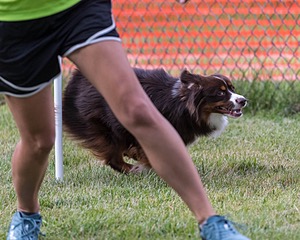 20200819-2815.jpg