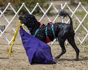 Vela Johnson