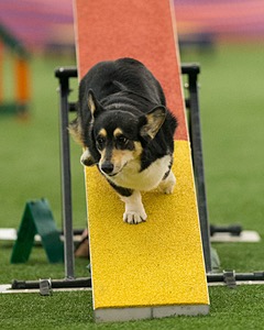 20150321-LEAP-1829.jpg