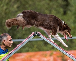 20200819-2406.jpg