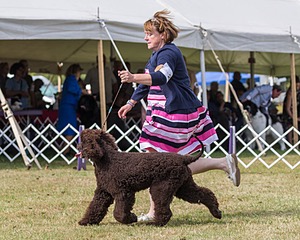 20 - GCH ALL GREEN WI'ENVY V ALPHA NORDIC DS CD RE