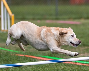 20200819-1853.jpg