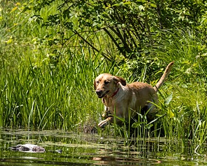 20220604-SHW-1994.jpg
