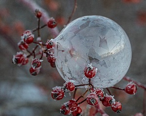 Frozen Soap Bubbles