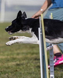 20230916-PVKC-1375.jpg