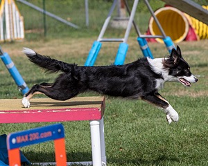 20200819-0686.jpg