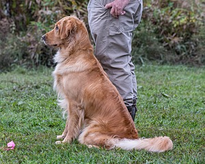 Lila