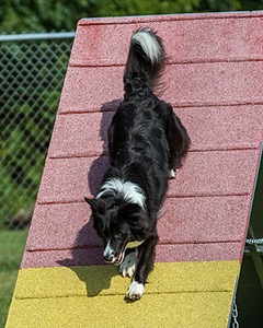 20200819-0725.jpg