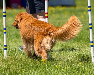 20170520-NEAT-1440.jpg