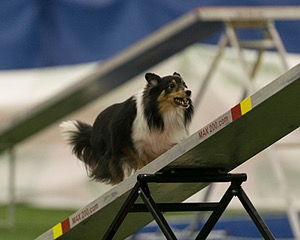 20150321-LEAP-1576.jpg
