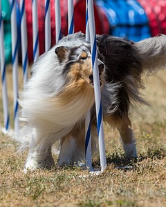 20160618-CCKC-1051.jpg