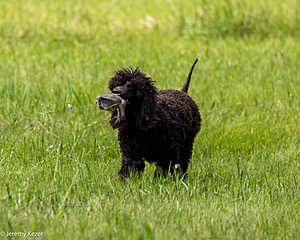 20220613-WD-0473.jpg