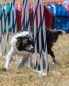 20160618-CCKC-1787.jpg