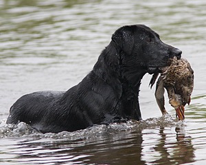 20080531-HRW-1113.jpg