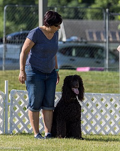 16 - GCH CH Chantico's Shelter From The Storm CD RA MX AXJ MXP2 MJP2 MJPB XF DS (Reef)