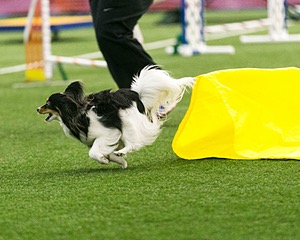 20150322-LEAP-0108.jpg