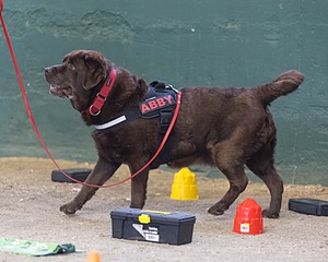 20260718-NSKC-0634.jpg