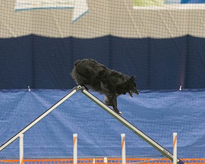 20150321-LEAP-1449.jpg