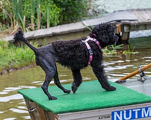 "Tessa" & Patty