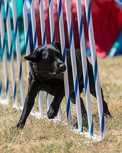 20160618-CCKC-1640.jpg