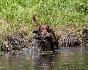 20130602-SEAW-0523.jpg