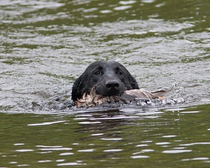 20080531-HRW-1037.jpg