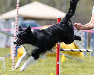 20160514-NEAT-0719.jpg