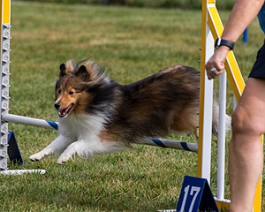 20200819-0154.jpg