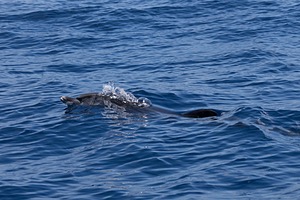 20250623-2984.jpg