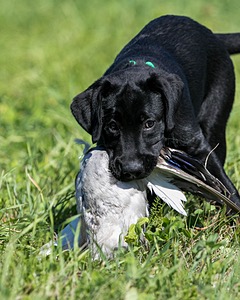 20150912-C-0036.jpg