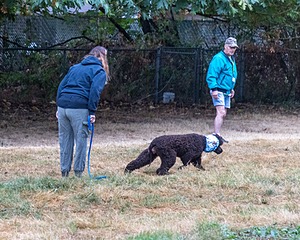 20210827-BD-0167.jpg
