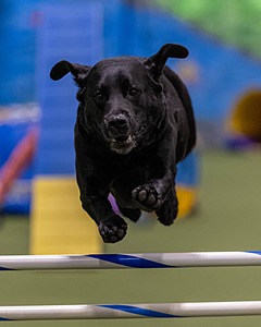 20260221-0909.jpg