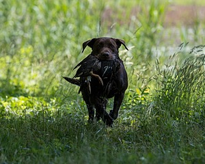 20220605-FINW-0010.jpg
