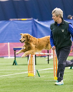 20150322-LEAP-0635.jpg