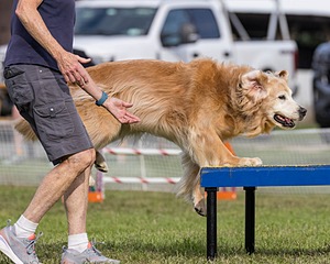 20230917-PVKC-2828.jpg