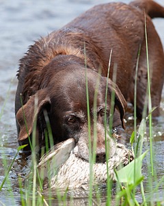 20080601-SRW-0026.jpg