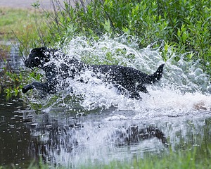 20130713-MHB2-0162.jpg